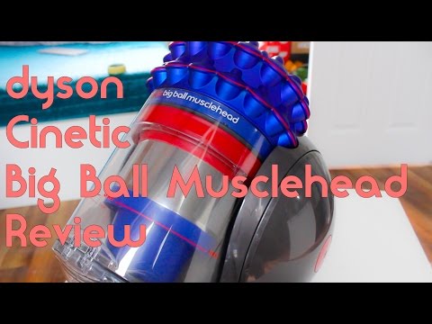 AO Com Review | Dyson Cinetic Big Ball Musclehead