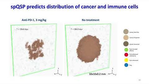 Model Informed Drug Development Approaches for Immunogenicity Assessments Workshop