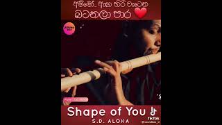 Shape of you Flute cover | Brilliant perfomance | Status | #shorts