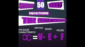 THE EULER CHARACTERISTIC
