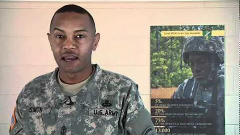 2011Veterans Day Greeting: U.S. Army First Sergean...