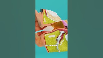 Why You Should Check Your Ears For Bugs 😨