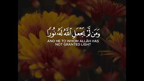 أجمل حالات واتس اب قرآن كريم بصوت رعد الكردي | صوت خاشع يريح القلب😭❤️