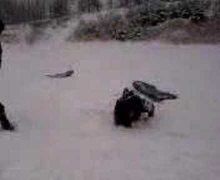 crazy sled wipeout