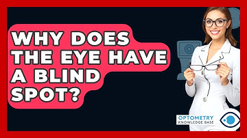 Why Does The Eye Have A Blind Spot? - Optometry Knowledge Base
