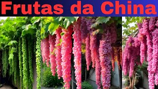 FRUTAS da CHINA: você não viu nada igual!