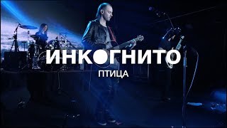 Смотреть клип Инкогнито - Птица