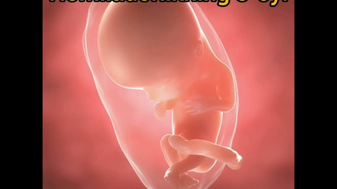 Benni Benassi porno kliplar Olomon ichida porno kamming, mushuk ustida sperma kop