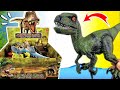 VELOCIRAPTOR, ESTEGOSAURIO, INDORAPTOR DEPREDADOR | DINOSAURIOS DEL JURASICO | ¡INCREIBLES!