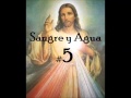 1 HORA de ALABANZAS CATOLICAS- Sangre y Agua #5- Musica Catolica Canciones Cantos