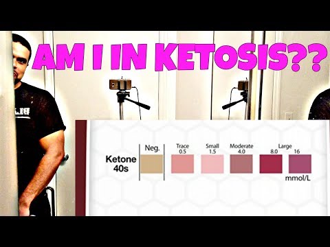 Ketostix Results Chart