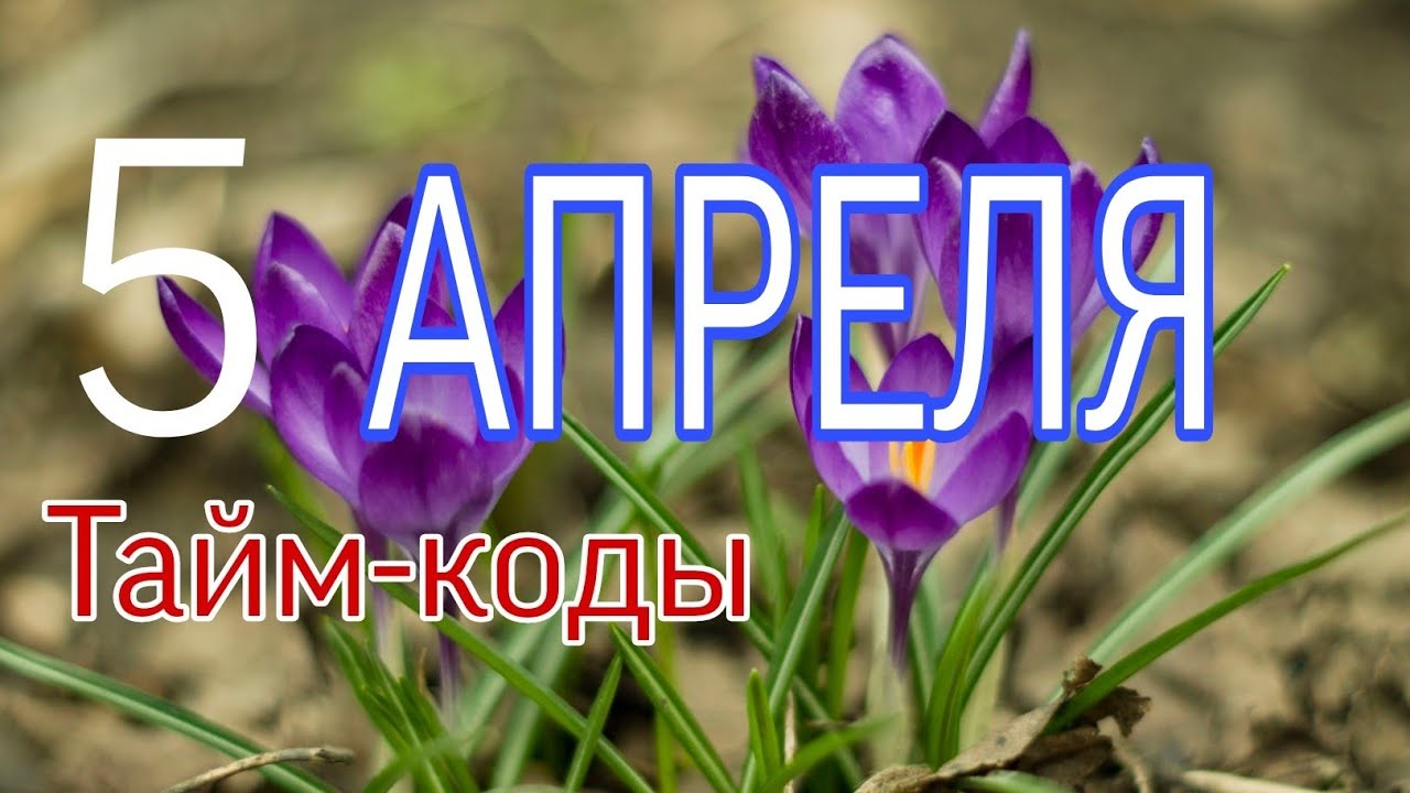 лунный календарь на апрель 2022. луна 26. лунный календарь на апрель 2021 года. 15 апреля луна. 5 апреля 2021.