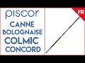 Canne bolognaise colmic concord