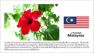 ดอกไม้ประจําชาติอาเซียน National Flowers of 10 ASEAN Countries ດອກໄມ້ປະຈຳຊາດອາຊຽນ ดาวน์โหลดดอกไม้อา