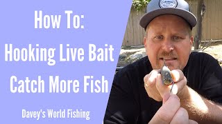 How To Hook Live Bait | Four Methods to Hook Live Bait