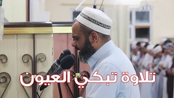 القارئ العراقي / عمر عبدالله من سورة البقرة وبكاء من خلفة من شدة الخشوع