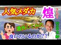 人気のメダカ　煌　若魚良いのいるのか？