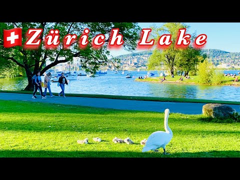 Video: Mga Magagandang Lugar Sa Switzerland: Lake Zurich