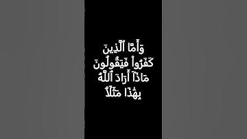 سورة البقرة الاية 26