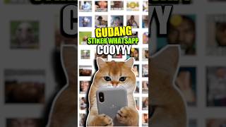 Wahh ini wajib di koleksi sih stiker WhatsApp nya