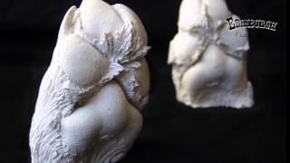 dog paw casting kit