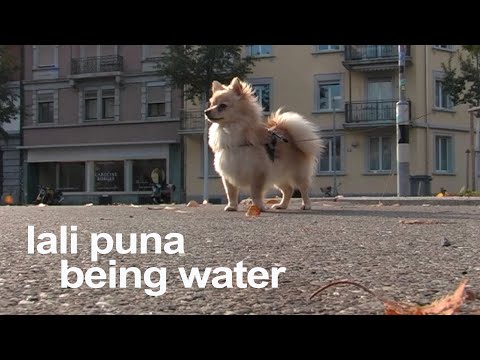 Lali Puna: Being Water