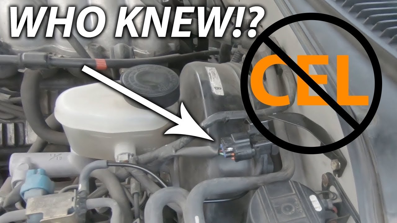 Scion Tc Check Engine Light Codes P0441 | Shelly Lighting