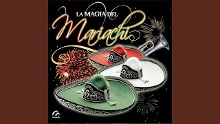 Hasta Que Te Conocí - Juan Michel