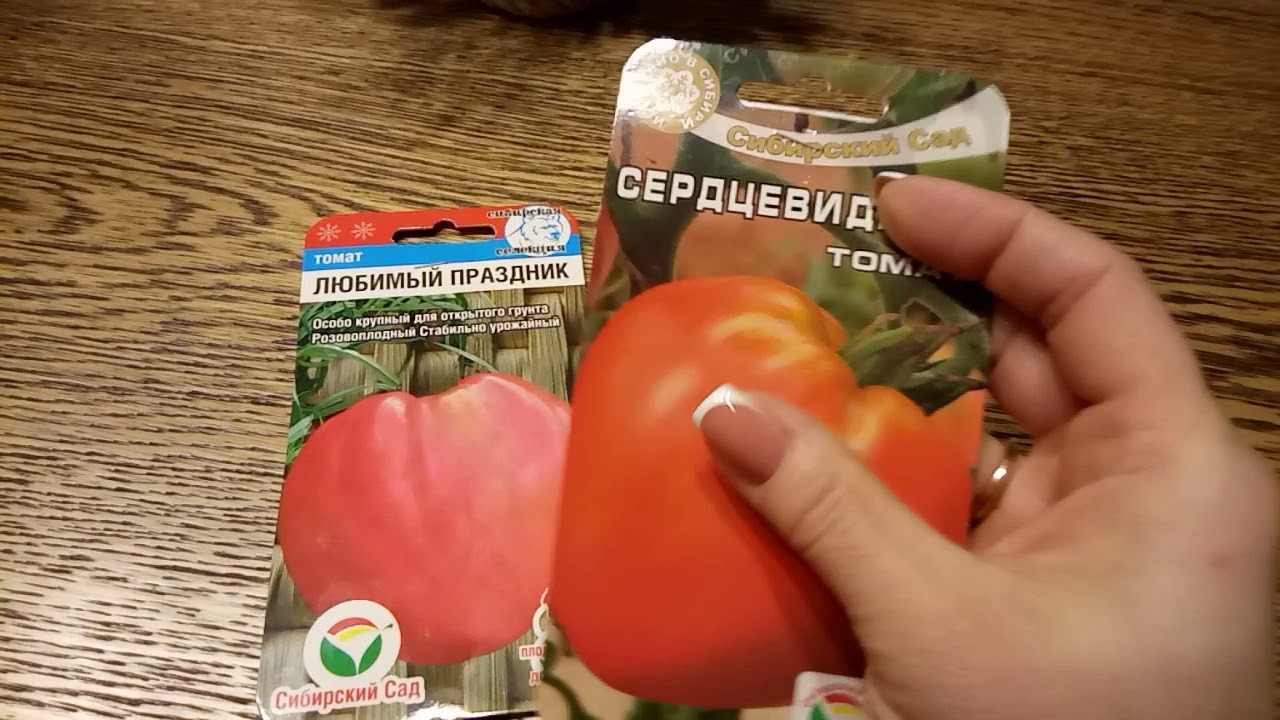 Сорт мясистых помидор сладких крупных. Сорт мясистых помидор сладких крупных