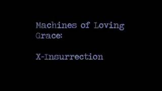 Machines of Loving Grace Chords