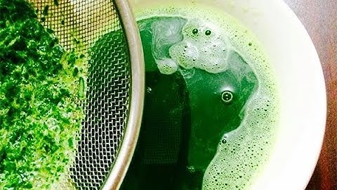 Cách làm nước cốt lá dứa màu xanh đậm đơn giản _ Nhanh chóng