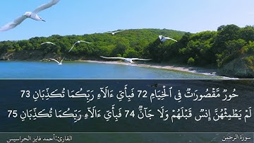 الصفحة 534 سورتيّ الرحمن والواقعة بصوت القارئ المهندس أحمد فايز الحراسيس