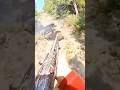 Охота на дикого кабана с близкого расстояния 😱🔥 | Успешная добыча#wildboar #hunting #chase #caccia