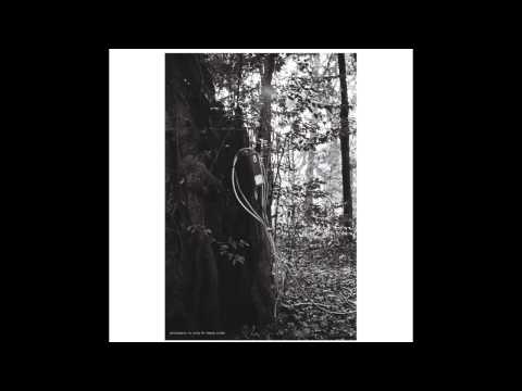 Dax J — Dax J - Angel Dust [DRH043]