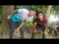 প্রতিদিন লাইফ আড্ডা লচাপা সার্কেল  বিনোদন