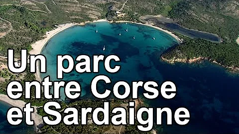 Quelle est la distance entre la Sardaigne et la Corse ?