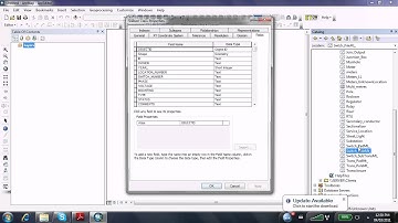 Assigning a Domain in ArcGIS