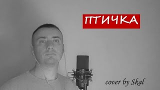 HammAli & Navai -Птичка (cover by Skal)