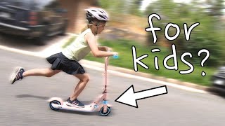 10 Reasons Why this Escooter is Best for Kids: Segway Ninebot Zing E8