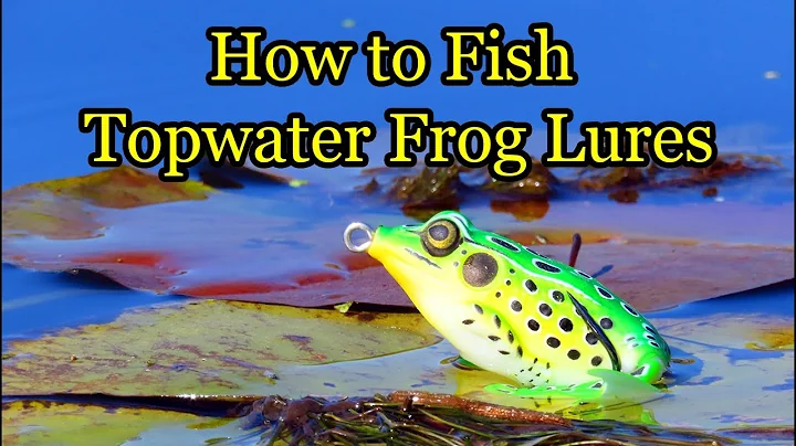 Basics of Frog Fishing and How to Fish Hollow-body Frog Lures