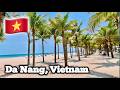 Son Tra 🇻🇳 The New Place to Live in Da Nang?