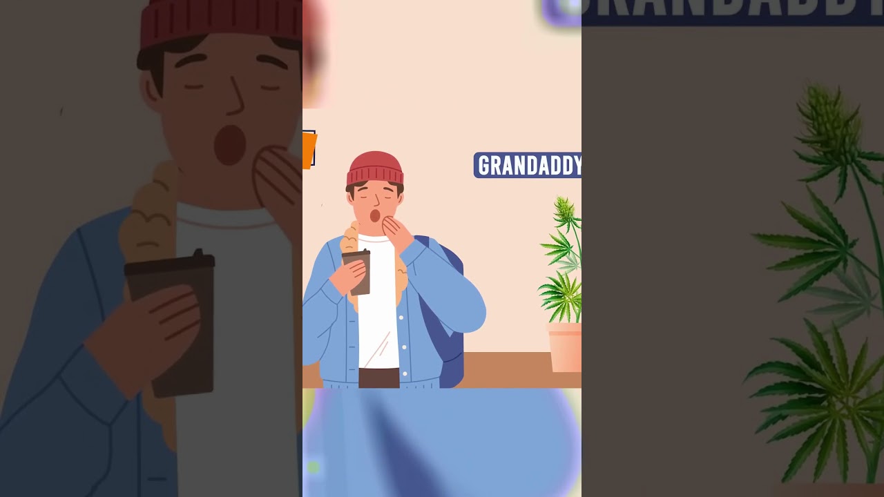 Granddaddy Purple: The Ultimate Nightcap for Insomnia Relief