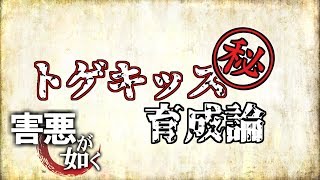 ポケモンusum 害悪ポケモン育成論 No 1 トゲキッス Youtube ポケモンusum 害悪ポケモン育成論 No 1 トゲキッス Youtube