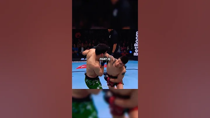 🧠 Fight IQ vs Instinct: What Really Wins in the UFC? 💥 #ufc