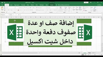 Insert One Or Multiple Rows in Excel Sheet