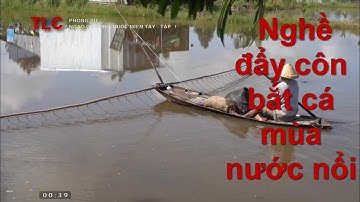 Nghề đẩy côn bắt cá mùa nước nổi