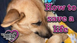 How to save a life