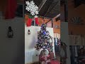 whiskey barrel projects
