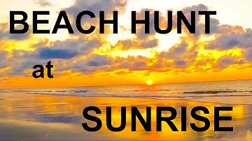 My First Beach Hunt - Simplex Ultra #metaldetecting