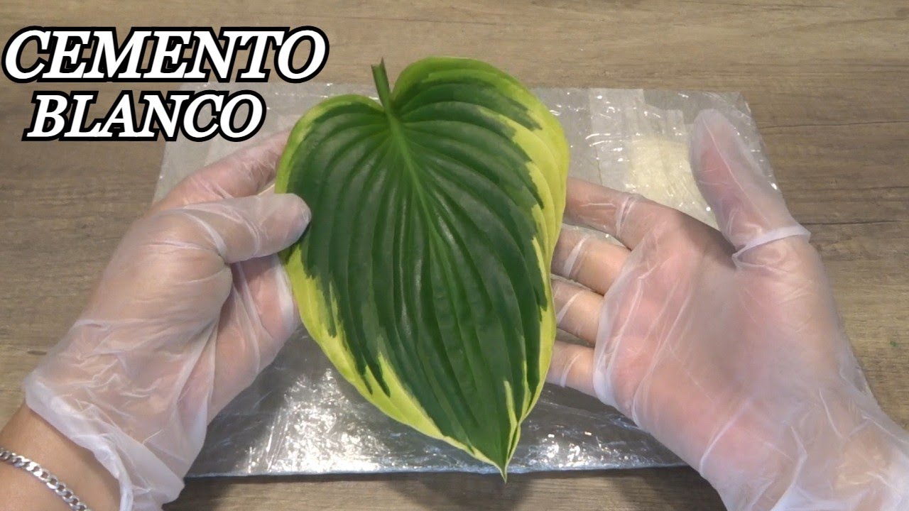 💕MIRA!!! Hojas Naturales Super Facil De Hacer Solo mezcla Agua y Cemento / Te van a encantar